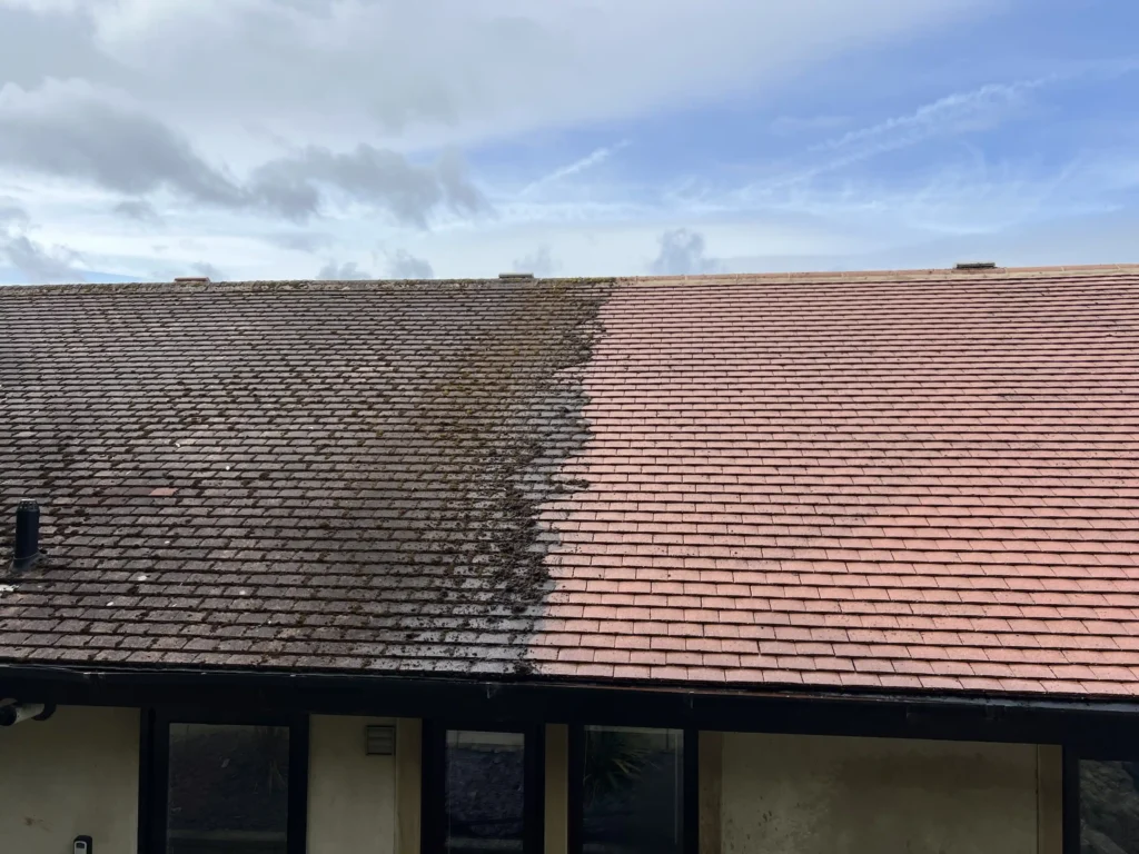 View of a roof clearly divided to show the results of cleaning – one half is restored to terracotta color, the other half is still mossy and dark.