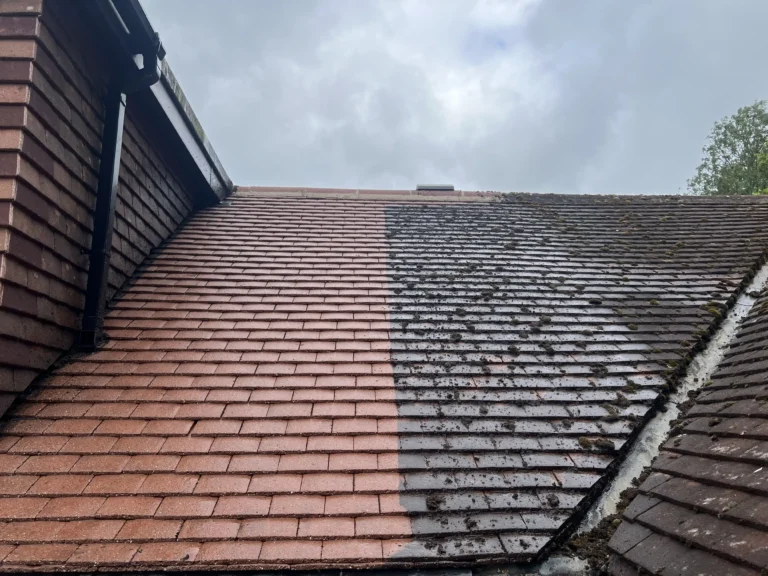 Roof cleaning comparison: the left side of the roof is visibly clean, revealing terracotta tiles, in sharp contrast to the mossy, uncleaned right side.