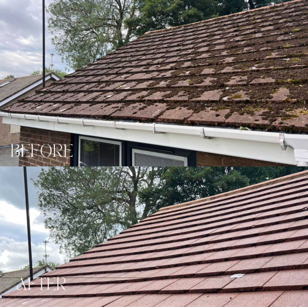 Before and after comparison of a roof with moss buildup and a freshly cleaned surface.