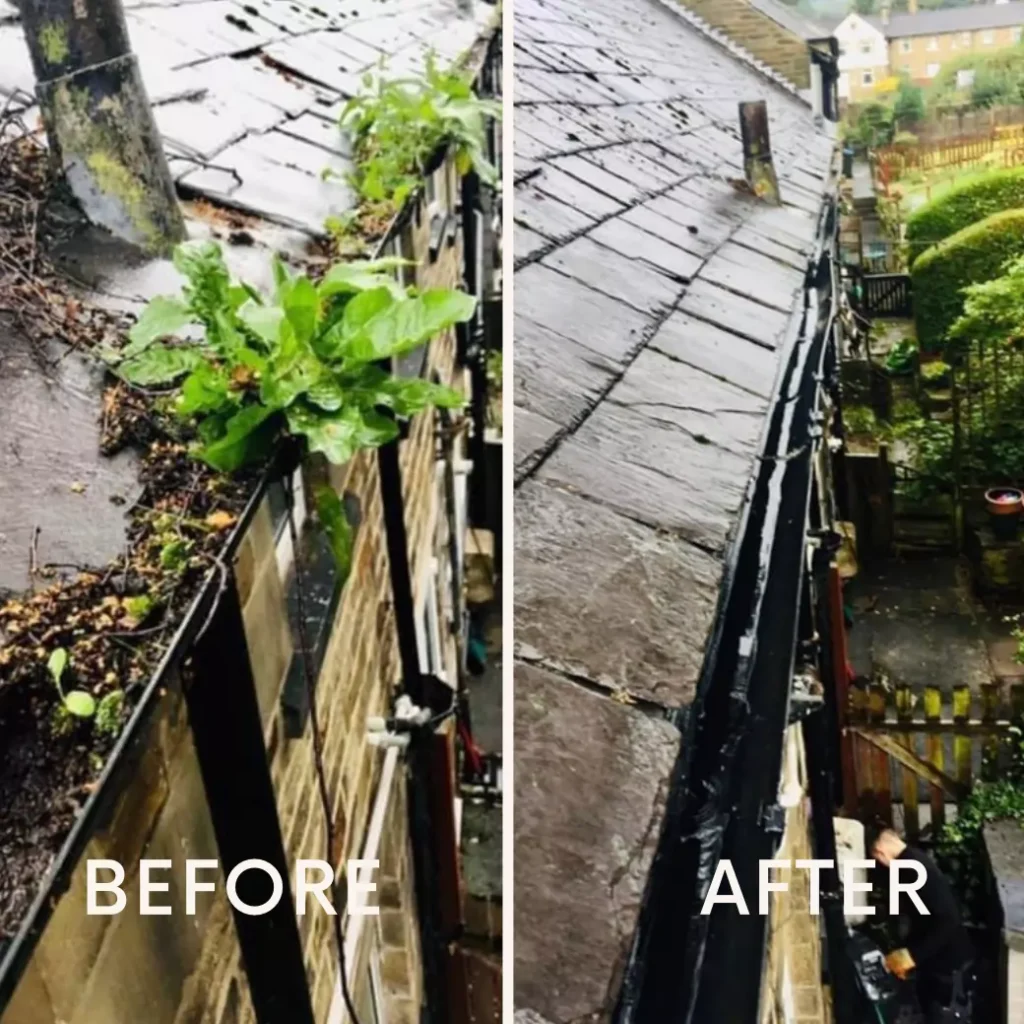 "BEFORE & AFTER" Gutter Cleaning: Plant Overgrowth Removed