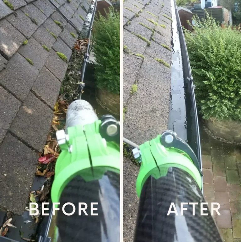 Gutter Cleaning: BEFORE vs AFTER Comparison