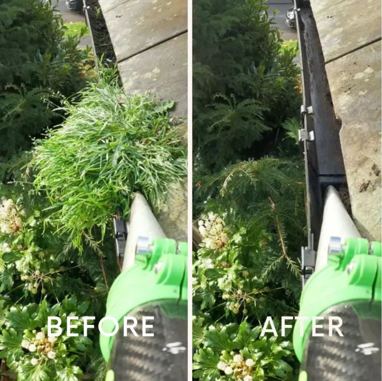 Side-by-side image labeled "BEFORE" showing a gutter heavily overgrown with plants and "AFTER" showing the same gutter completely cleared of vegetation.